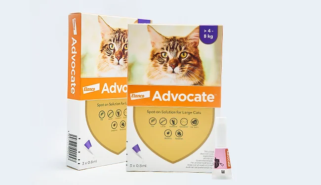 Advocate untuk kucing