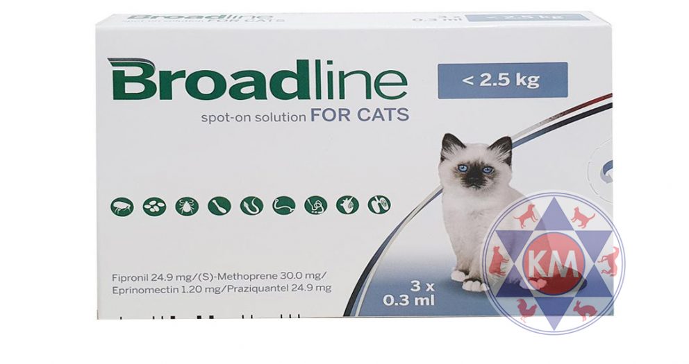 Broadline untuk kucing