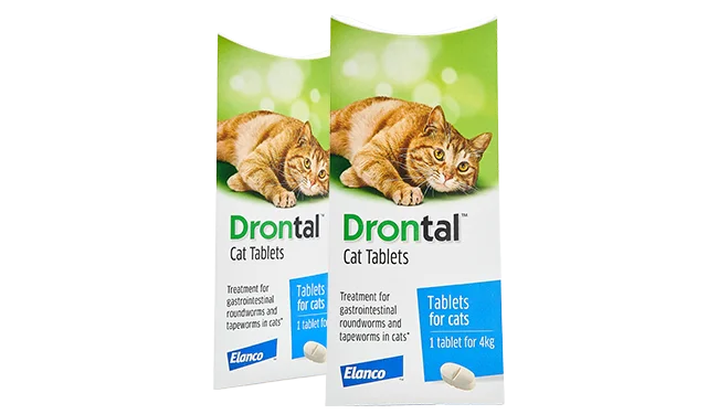 Drontal Cat ubat cacing kucing